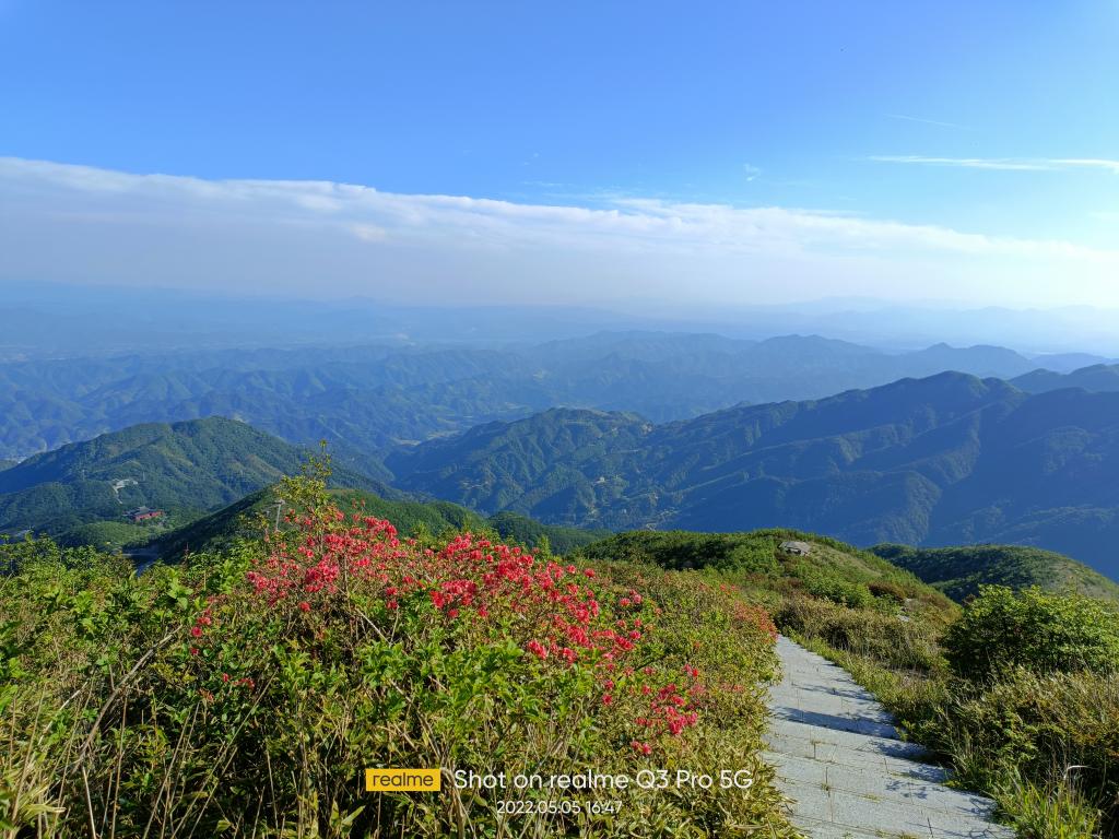 大熊山十里杜鹃游道