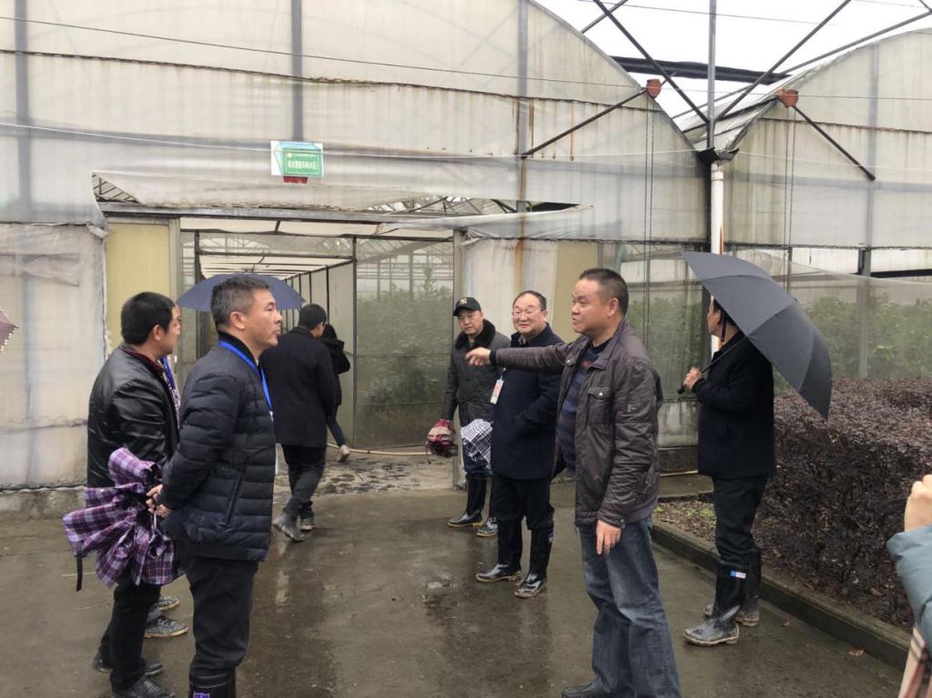 图三 考察母本繁殖车间
