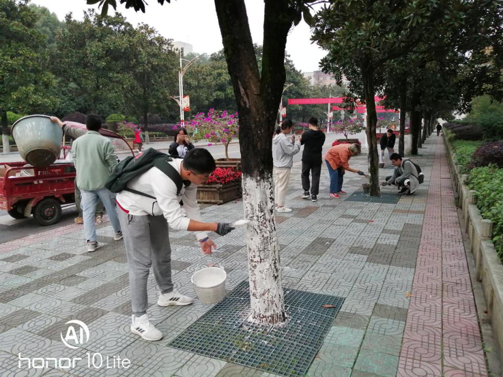 图二 东珠大道刷白