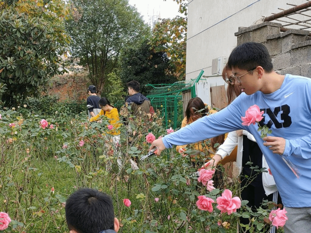 图四 同学们在月季园体验剪枝造型艺术