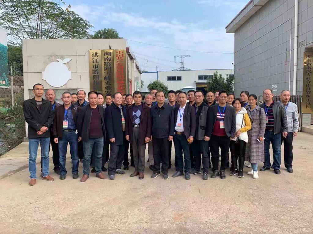 图二 新型职业农民调研考察洪阳黄金贡柚基地